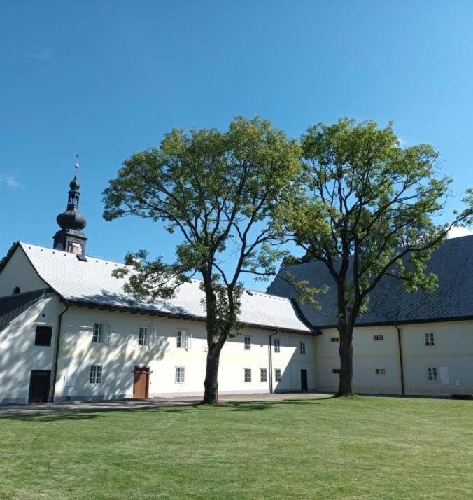Zamek Zdar *
